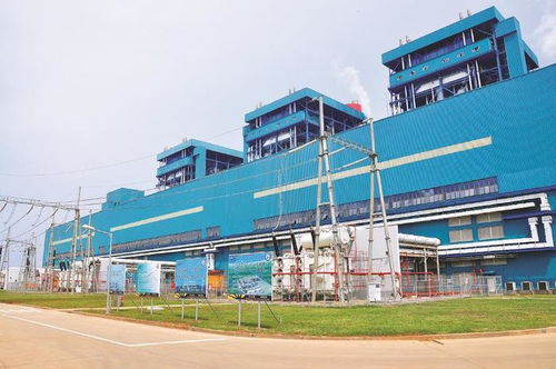 上海港湾集团 沼泽地上建电厂，中国技术“点土成金”